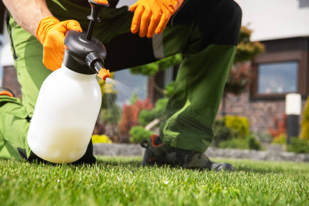 Best Wasp Removal Services  in Port Hueneme, CA