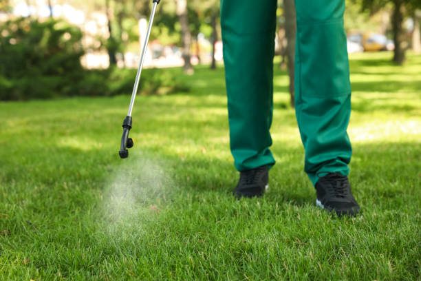 Professional Pest Control in Port Hueneme, CA