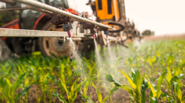 Best Insect Control  in Port Hueneme, CA